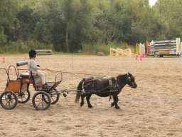 img_9504_web